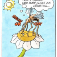 Insektenleben