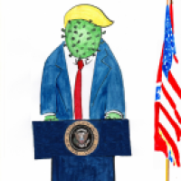 Donald Corona