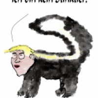 Ein Stinktier