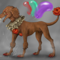 Poodlewise the dancing dog