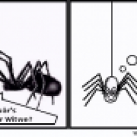 Sex unter Lebensgefahr