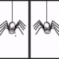 Schuhe machen Frauen glücklich.