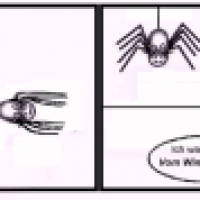 Kinobesuch mit Nachwehen