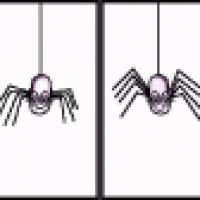 Bertie und das andere Geschlecht