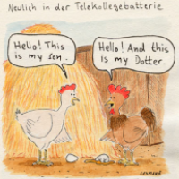 Hühner