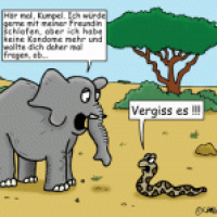 Keine Kondome mehr