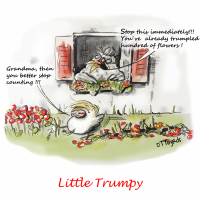 Little Trumpy