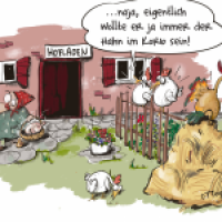 Gockelträume