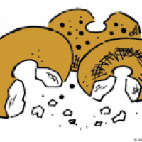 Bagels