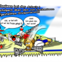 Lachmöwen