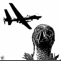 Drone