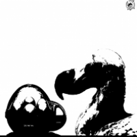 Dodo Ei