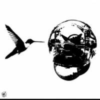 Kolibri