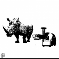 Nashorn