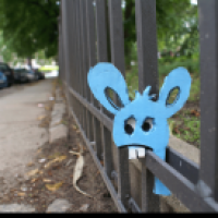 Hase 1