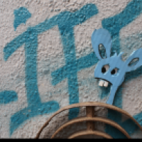 Hase 4