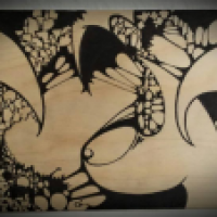 hase
