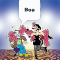 Boa 2