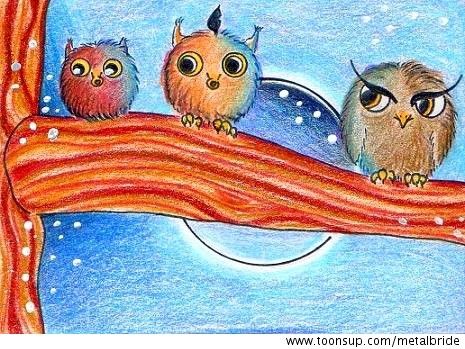 Illustration: komische Eulen 1