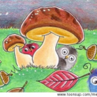 neugierige Piepmätze