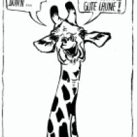 Giraffenfreuden