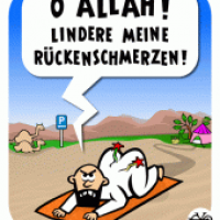 Rücken