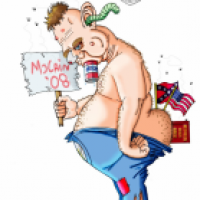 The McCain Supporter