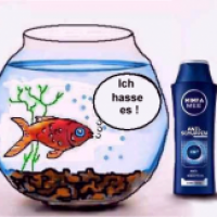 Anti-Schuppen Shampoo