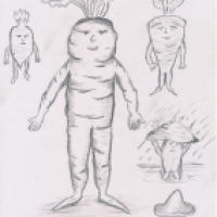 Karotten, Rüben und Pilze