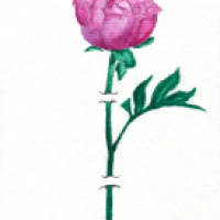 Das erste Aquarellbild