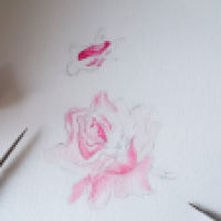 Rosen