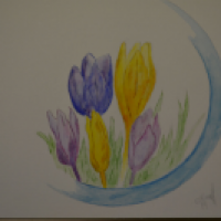 Blumen / aquapril 2019