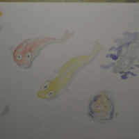 Fischies!!!!!