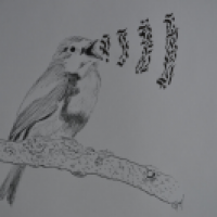 Sing Vogel Sing