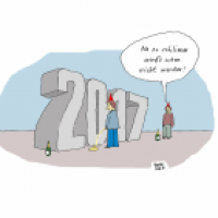 Der Neujahrskater