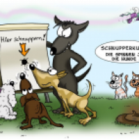 Schnupperkurs