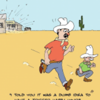 Cowboys
