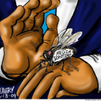 Media Buzz
