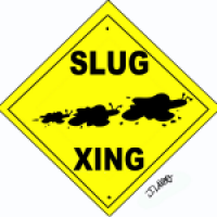 Slug Week, Day Three