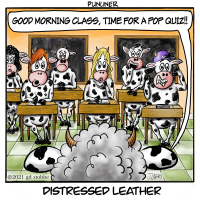 A School of Cows