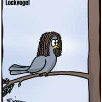 Lockvogel