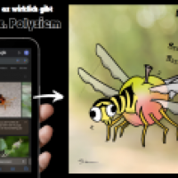 Realität vs. Polysiem