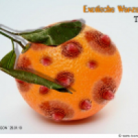 Tittiolas (Exotische Warzenfrucht)