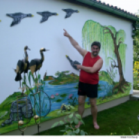 Endlich komplett, mit Wildgänsen!!