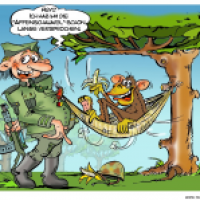 Affenschaukel