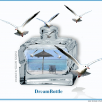 the dreambottle