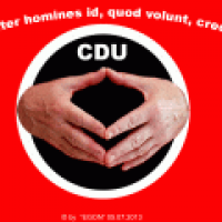Parteienwerbung zur Wahl 2013