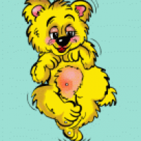 YellowDance Bärchen