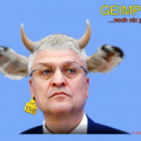 Wiehler und kein Ende.....