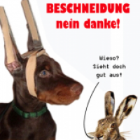 Beschneidung - nein danke!